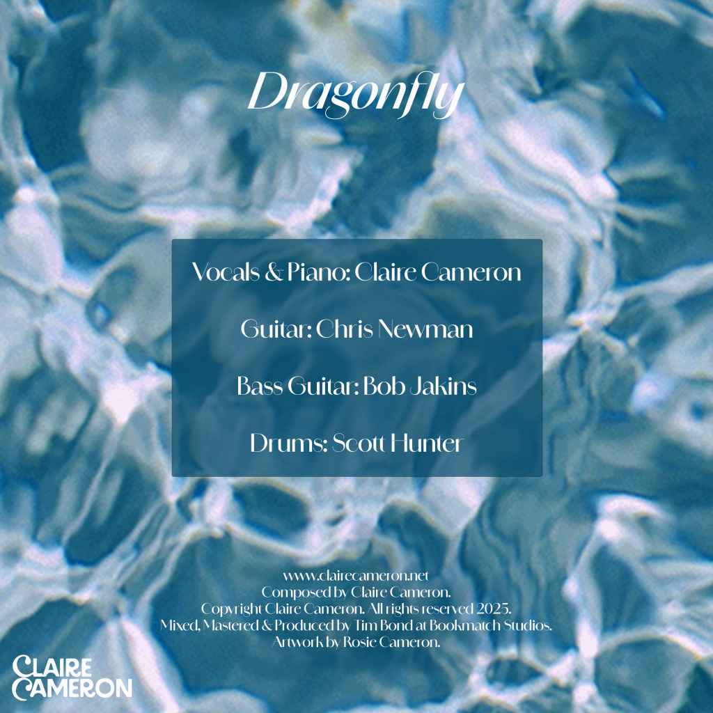 Musicians performing on Dragonfly by Claire Cameron