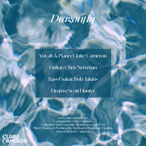 Musicians performing on Dragonfly by Claire Cameron